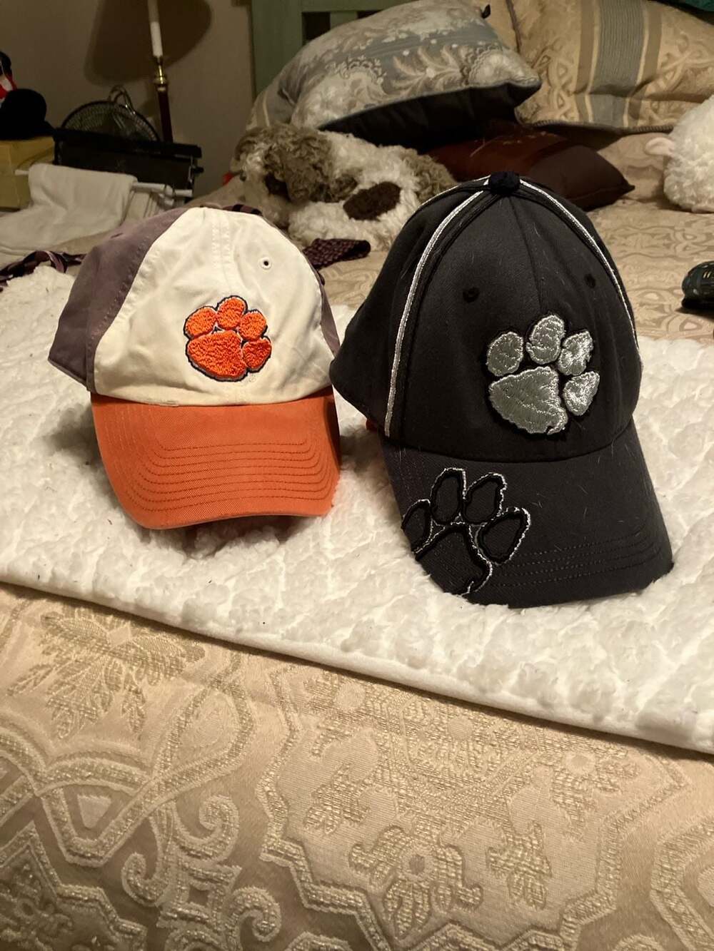 Twins Enterprise Clemson Tigers The Franchise Fitted Hat